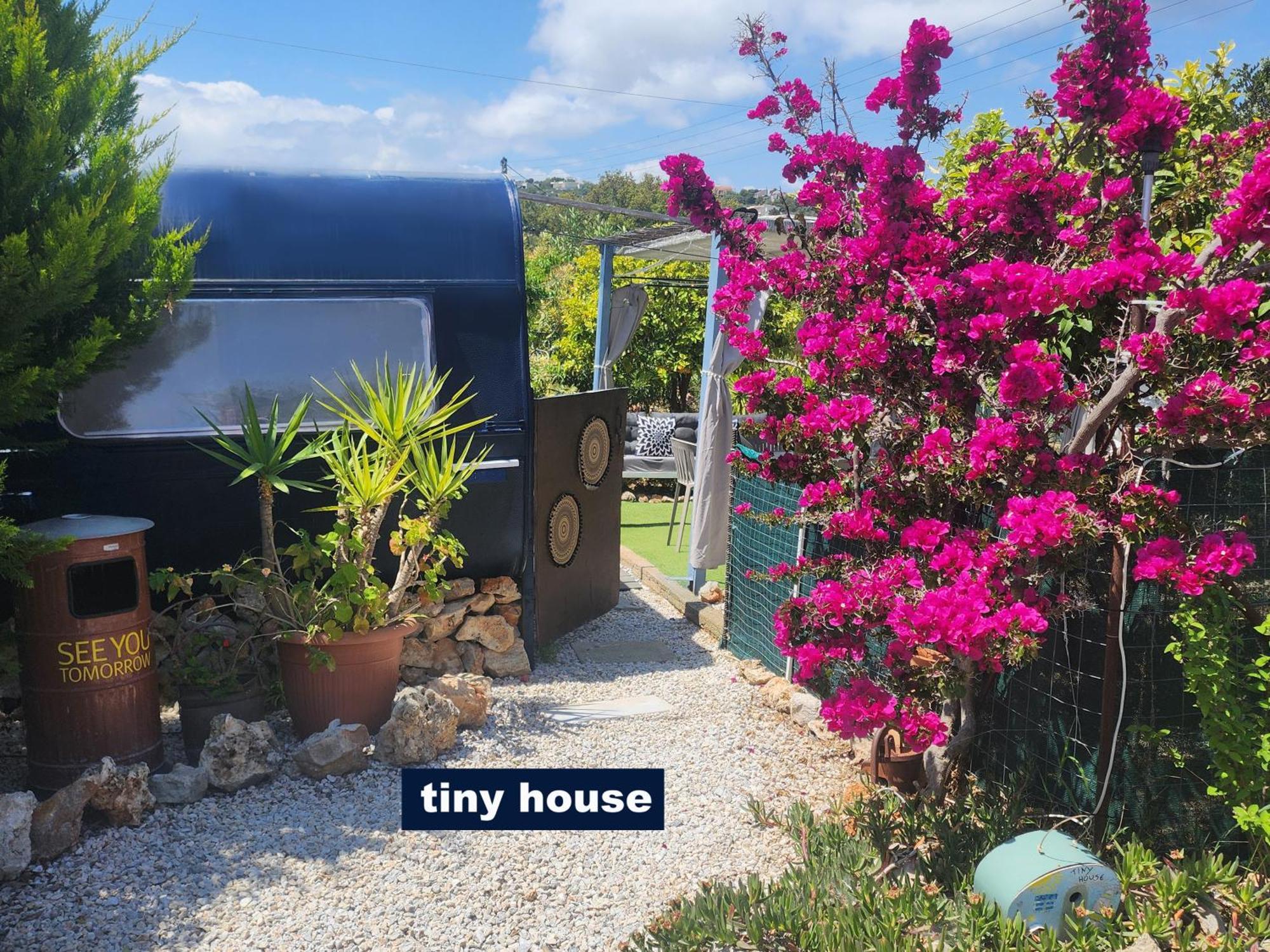 Dream Tiny House Or Luxus Tent With Pool Feriehus