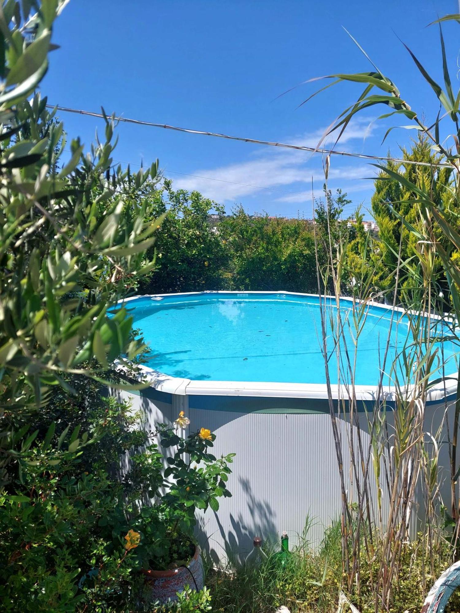 Dream Tiny House Or Luxus Tent With Pool Feriehus *