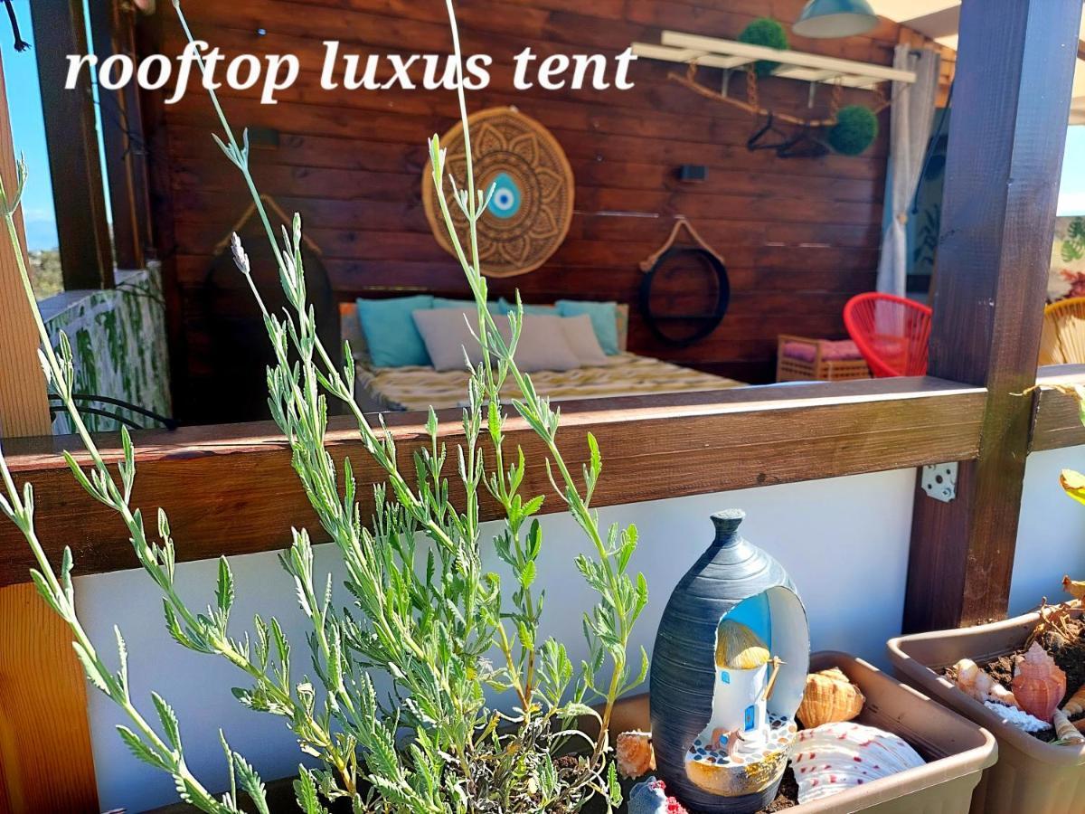 Dream Tiny House Or Luxus Tent With Pool Ferienhaus