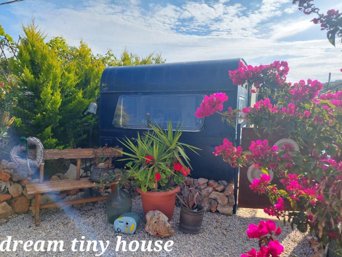 Ferienhaus Dream Tiny House Or Luxus Tent With Pool